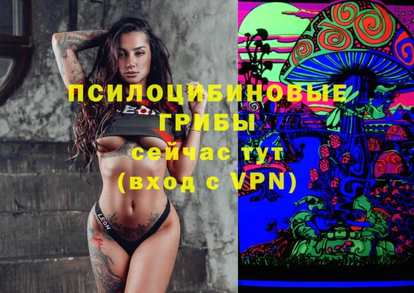 крисы Армянск