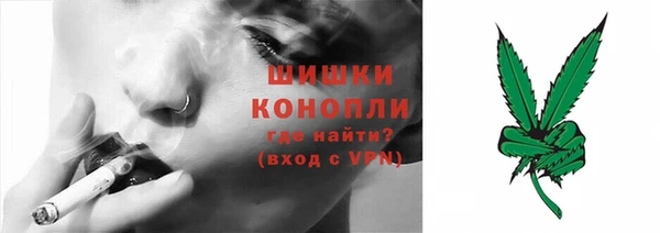 бошки Арсеньев
