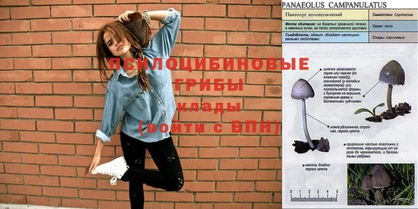 а пвп мука Аркадак