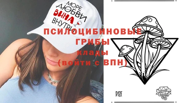 крисы Армянск
