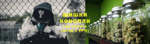 крисы Армянск