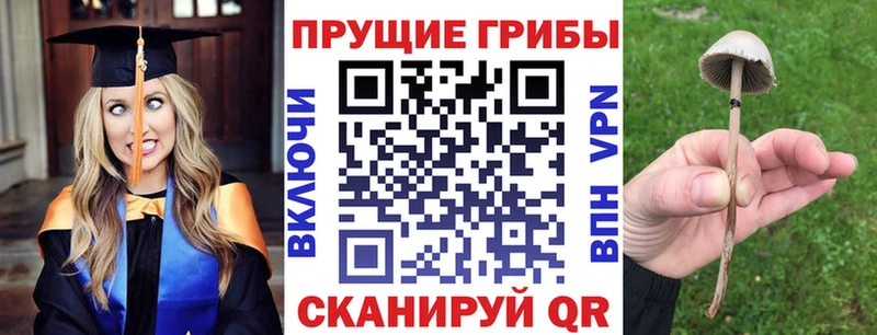 Галлюциногенные грибы прущие грибы  Мантурово 